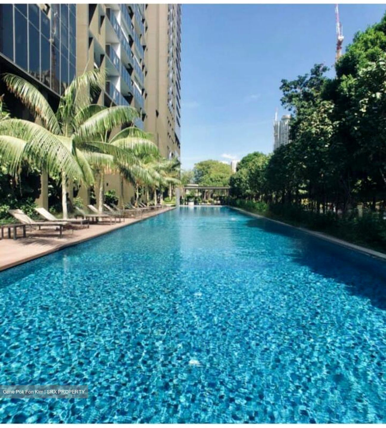 Commonwealth Towers (D3), Condominium #465395831